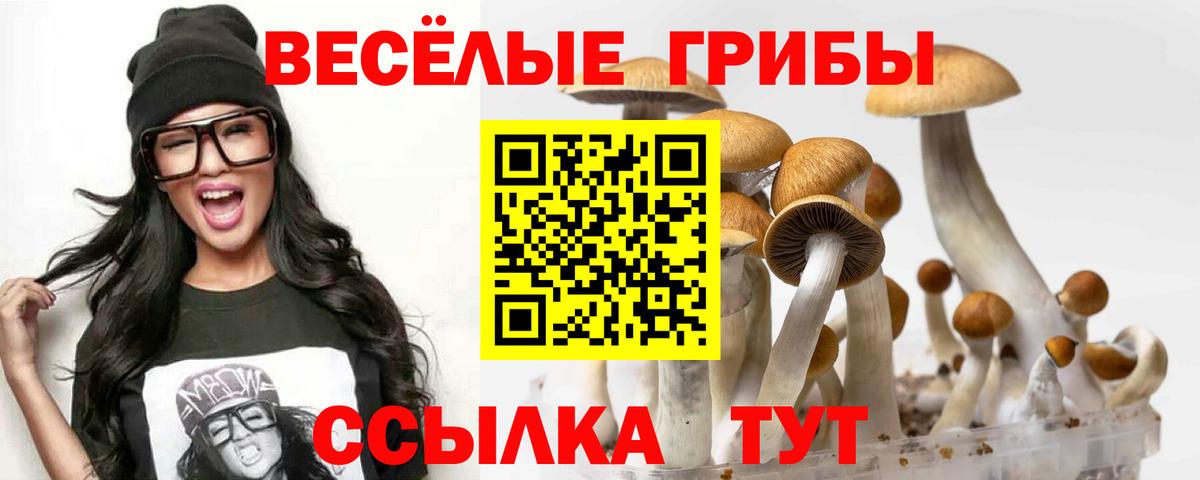 Галлюциногенные грибы мицелий Заволжье